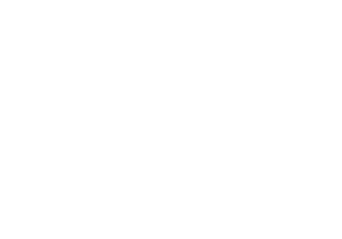 20 anos